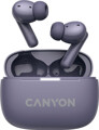 Canyon TWS-10 CNS-TWS10