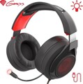 Genesis Radon 610