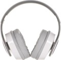 Sony MDR-DS6500