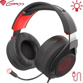 Genesis Radon 610